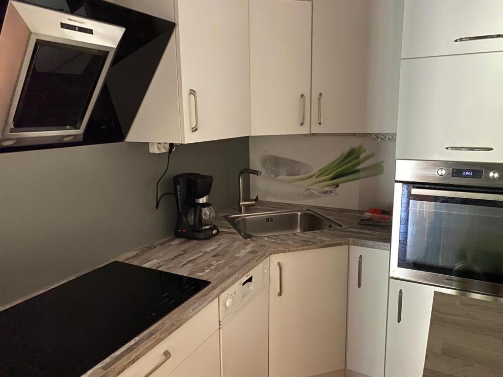 Apartment Orlitsch 클라겐푸르트 외부 사진